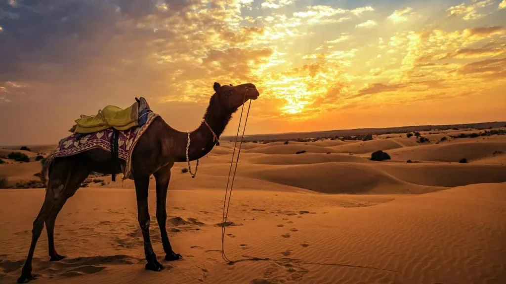 Super Safari Hurghada Egypt – Desert Adventure