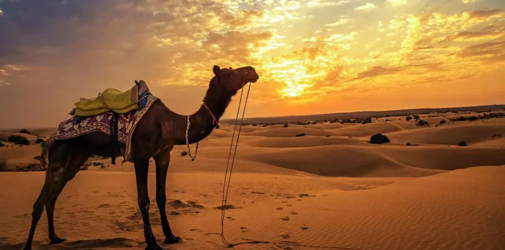 Super Safari Hurghada Egypt – Desert Adventure