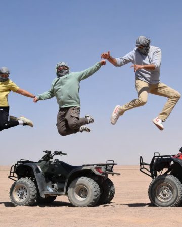 Desert Quad Bike and Buggy 